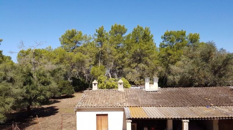 Illes Balears - Sencelles - 73587m2