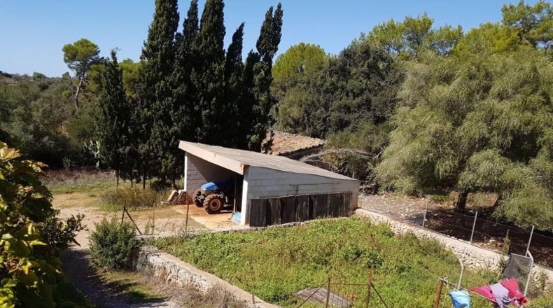 Illes Balears - Sencelles - 73587m2