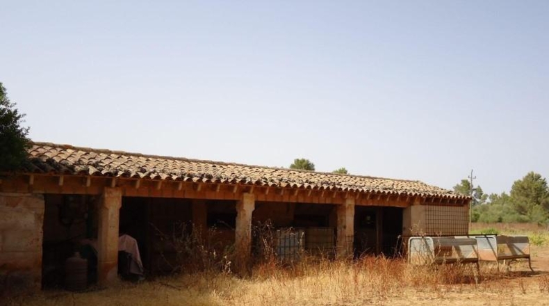 Illes Balears - Sencelles - 73587m2