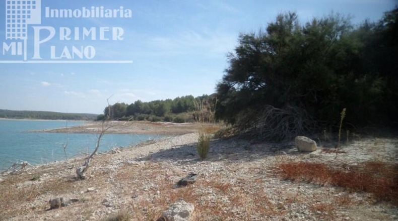 Ciudad Real - Argamasilla de Alba - 999999m2