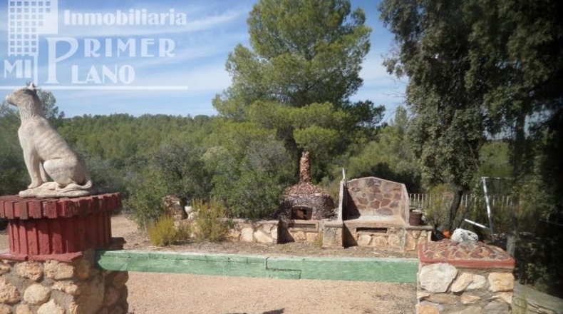 Ciudad Real - Argamasilla de Alba - 999999m2