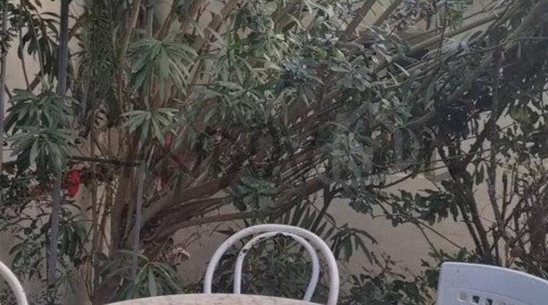 Teruel - Santa Eulalia - 300m2