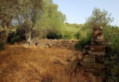 Casa de camp amb terreny en venda a la España, Tarifa, ref.: TR397884 foto