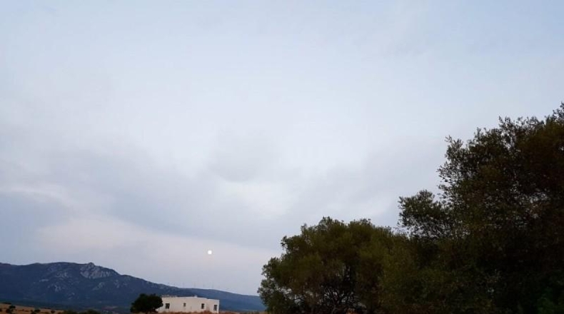 Sevilla - Sevilla - 65737m2