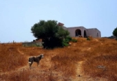 Casa de camp amb terreny en venda a la España, Tarifa, ref.: TR397884 foto