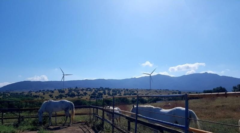 Sevilla - Sevilla - 65737m2