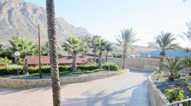 Alicante - Alicante - 10000m2