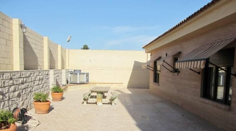 Alicante - Alicante - 10000m2