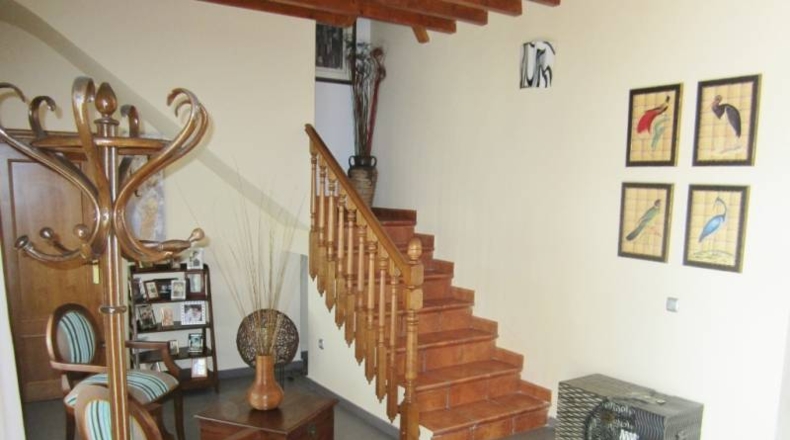 Alicante - Alicante - 10000m2