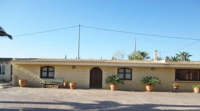 Alicante - Alicante - 10000m2