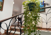Chalet independiente con terreno en venta en la España, Málaga, ref: TR398012 foto