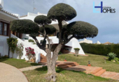 Chalet independiente con terreno en venta en la España, Málaga, ref: TR398012 foto