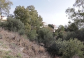 Городская земля под застройку на продажу у города Benalmádena Фото
