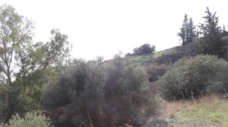 Málaga - Benalmádena - 7263m2