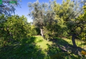 Detached villa with land for sale on España, Píñar, ref: TR400003 photo