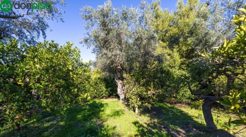 Granada - Píñar - 1713m2