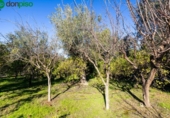 Detached villa with land for sale on España, Píñar, ref: TR400003 photo