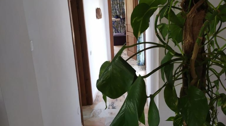 Zamora - Alcañices - 930m2