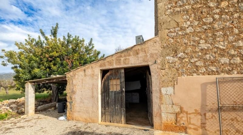 Islas Baleares - Lloseta - 24000m2