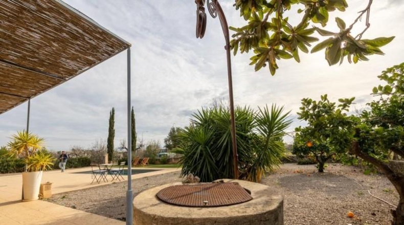 Islas Baleares - Lloseta - 24000m2