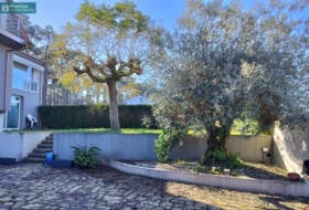 O Grove 534&nbsp;m² 