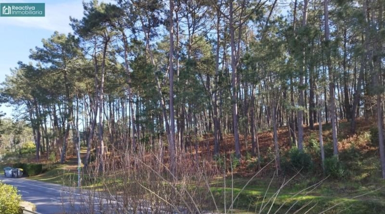 Comunidad de Madrid - Boadilla del Monte - 534m2