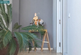 O Grove 534&nbsp;m² 