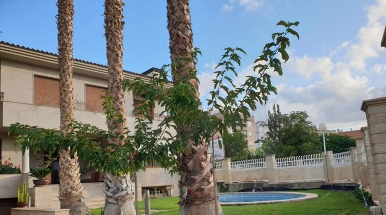 Alicante - Torrevella - 700m2
