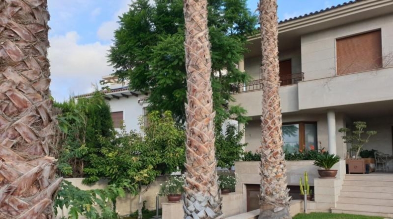 Alicante - Torrevella - 700m2