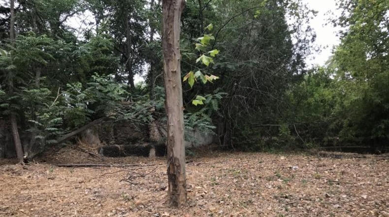 Córdoba - Córdoba - 5899m2