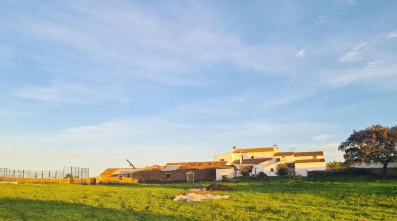 Huelva - Alosno - 2500000m2