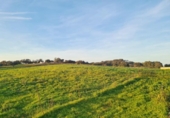 Detached villa with land for sale on España, Alosno, ref: TR398772 photo