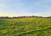 Detached villa with land for sale on España, Alosno, ref: TR398772 photo