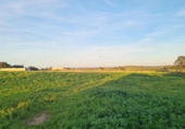 Detached villa with land for sale on España, Alosno, ref: TR398772 photo