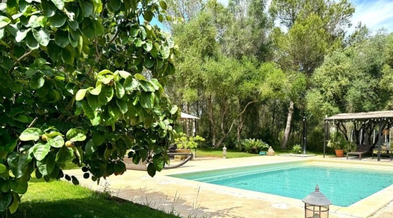 Illes Balears - Santa Eugènia - 16000m2