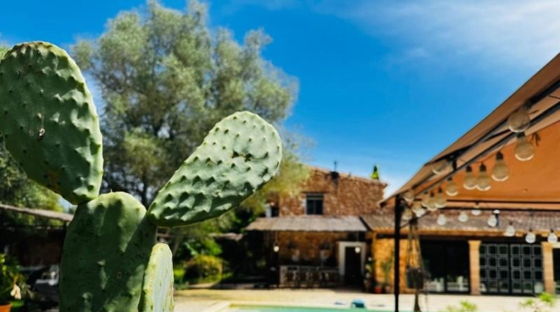 Illes Balears - Santa Eugènia - 16000m2