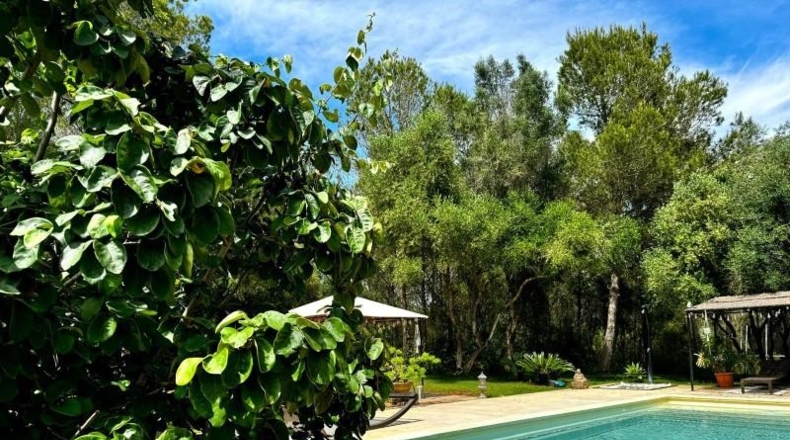 Illes Balears - Santa Eugènia - 16000m2