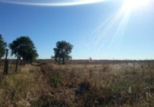 Land suitable for development for sale on España, Navalcarnero, ref: TR396924 photo