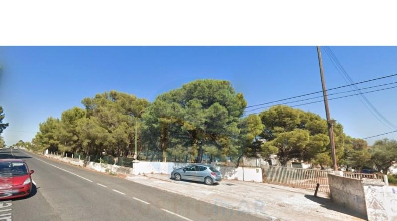 Tarragona - Alcanar - 16161m2
