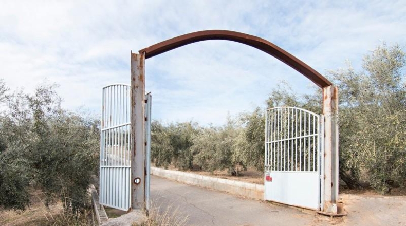 Comunidad de Madrid - Madrid - 460000m2