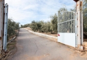 Chalet independiente con terreno en venta en la España, Granada, ref: TR397911 foto