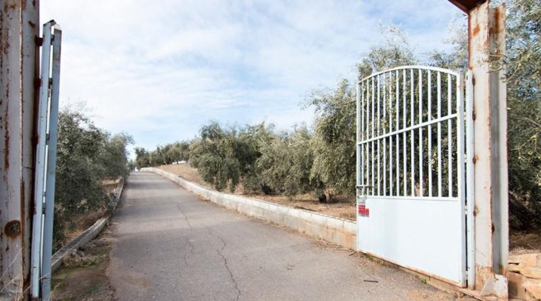 Comunidad de Madrid - Madrid - 460000m2