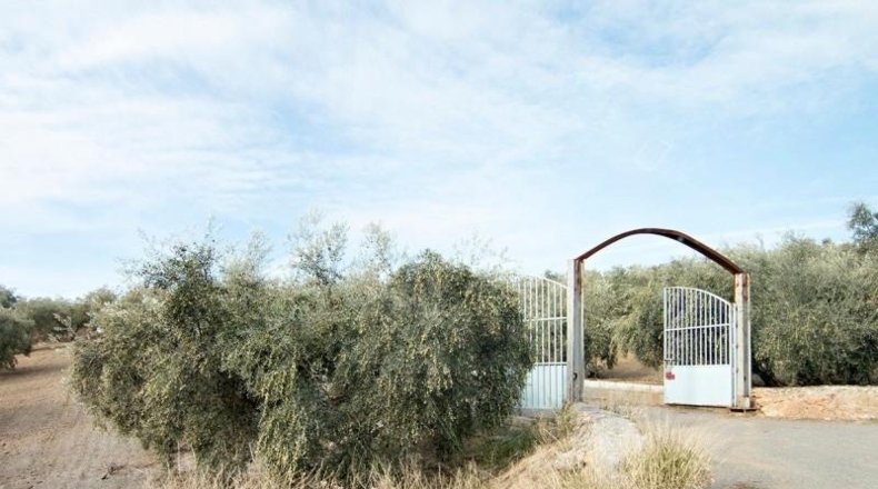 Comunidad de Madrid - Madrid - 460000m2