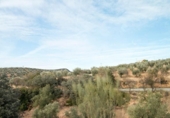 Chalet independiente con terreno en venta en la España, Granada, ref: TR397911 foto