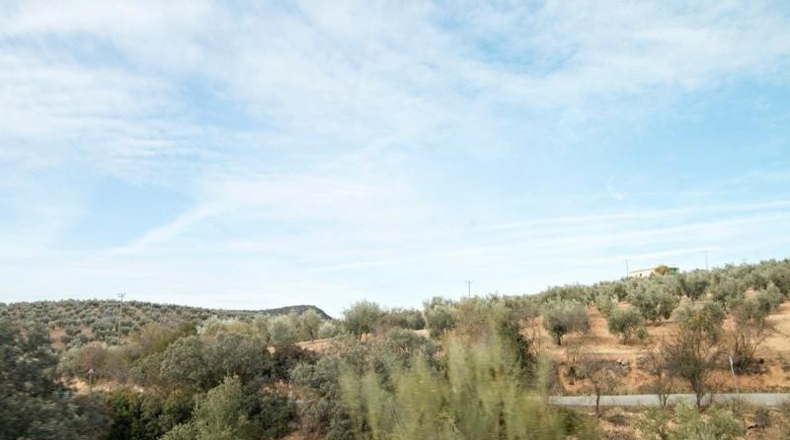Comunidad de Madrid - Madrid - 460000m2