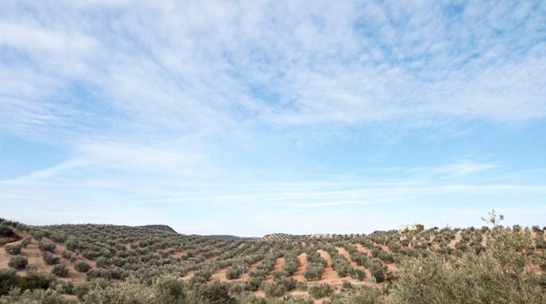 Comunidad de Madrid - Madrid - 460000m2