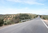 Chalet independiente con terreno en venta en la España, Granada, ref: TR397911 foto