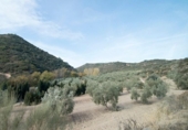 Chalet independiente con terreno en venta en la España, Granada, ref: TR397911 foto