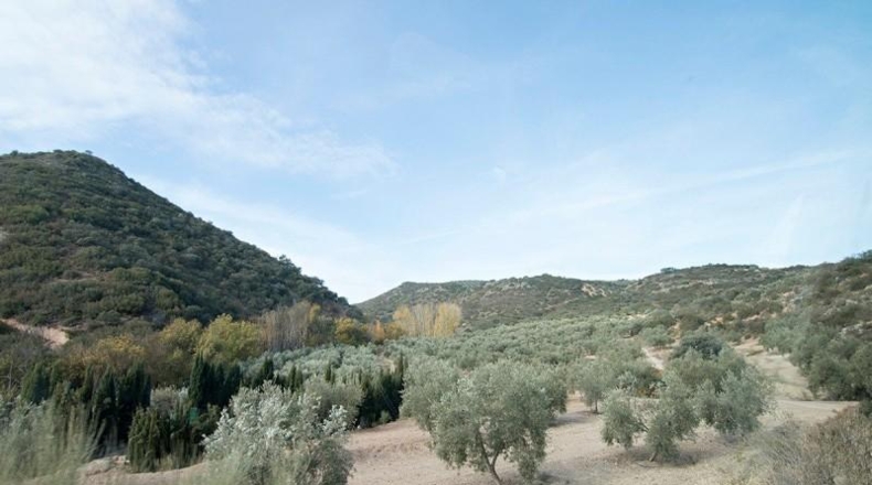 Comunidad de Madrid - Madrid - 460000m2