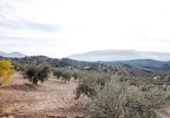 Chalet independiente con terreno en venta en la España, Granada, ref: TR397911 foto